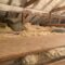 Spray Foam Insulation